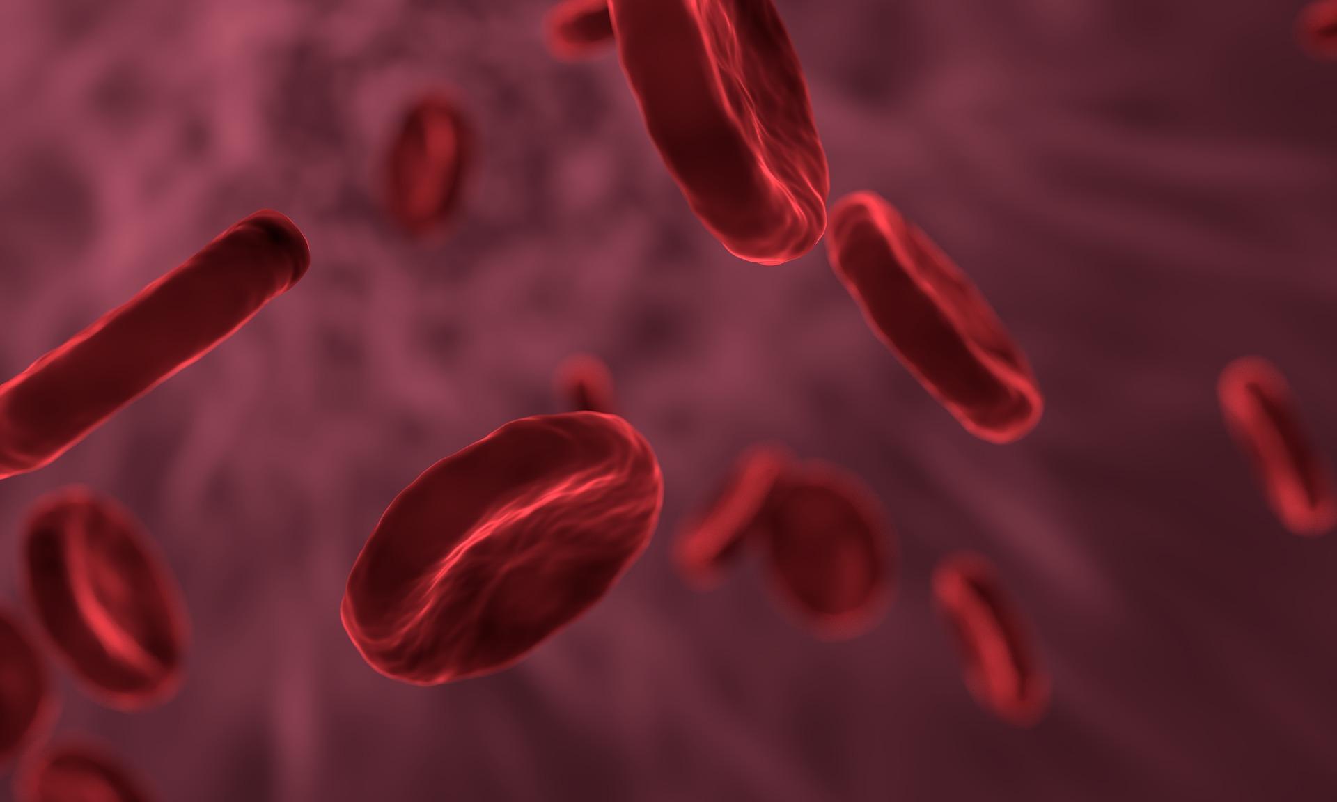 red-blood-cells-3188223_1920.jpg